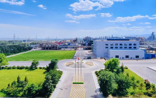 內(nèi)蒙古宜化榮獲自治區(qū)科學(xué)技術(shù)進步二等獎(圖1)